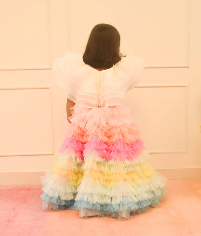 Organza Crop Top with Multi Color Skirt