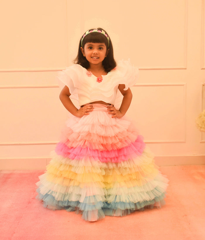 Organza Crop Top with Multi Color Skirt