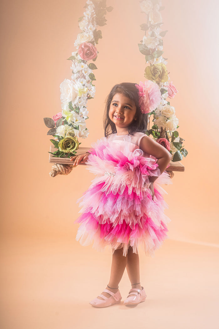 Shades Of Pink Dress