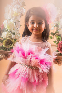 Shades Of Pink Dress