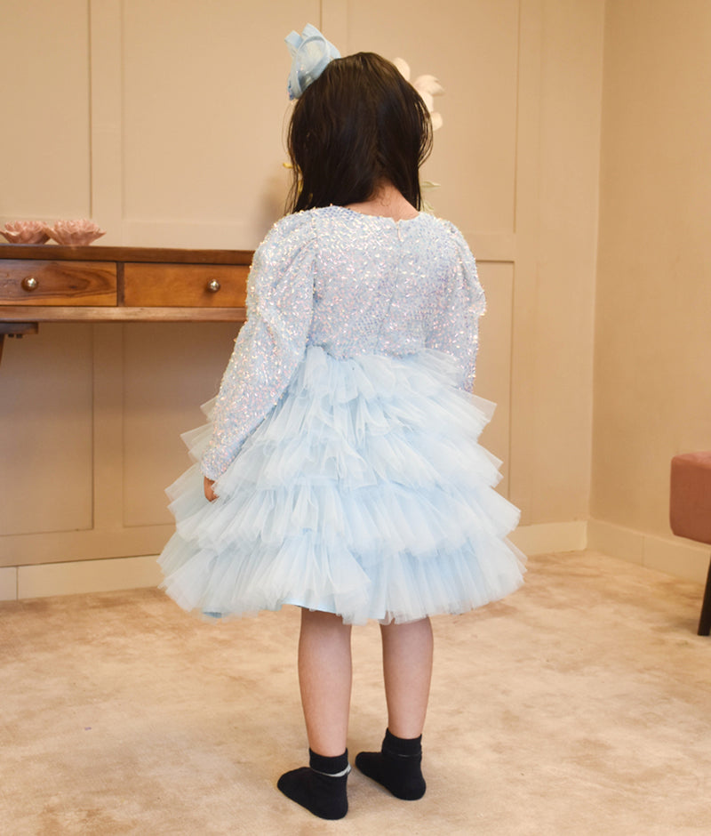 Blue Embroidered Net Frock