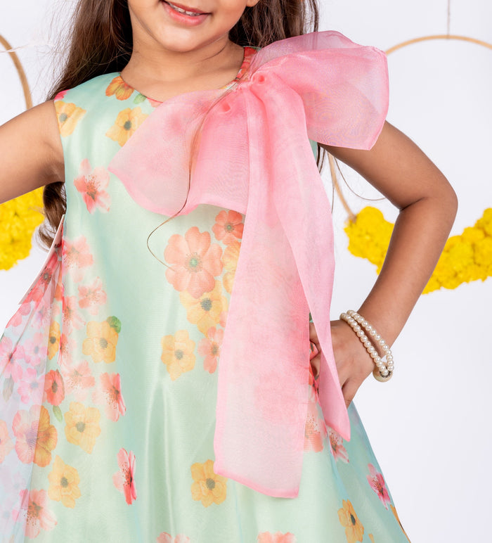Bow Aline Organza dress