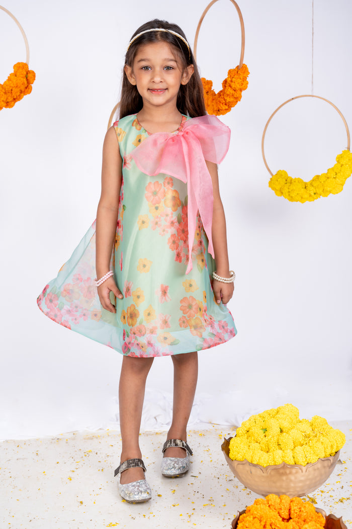 Bow Aline Organza dress