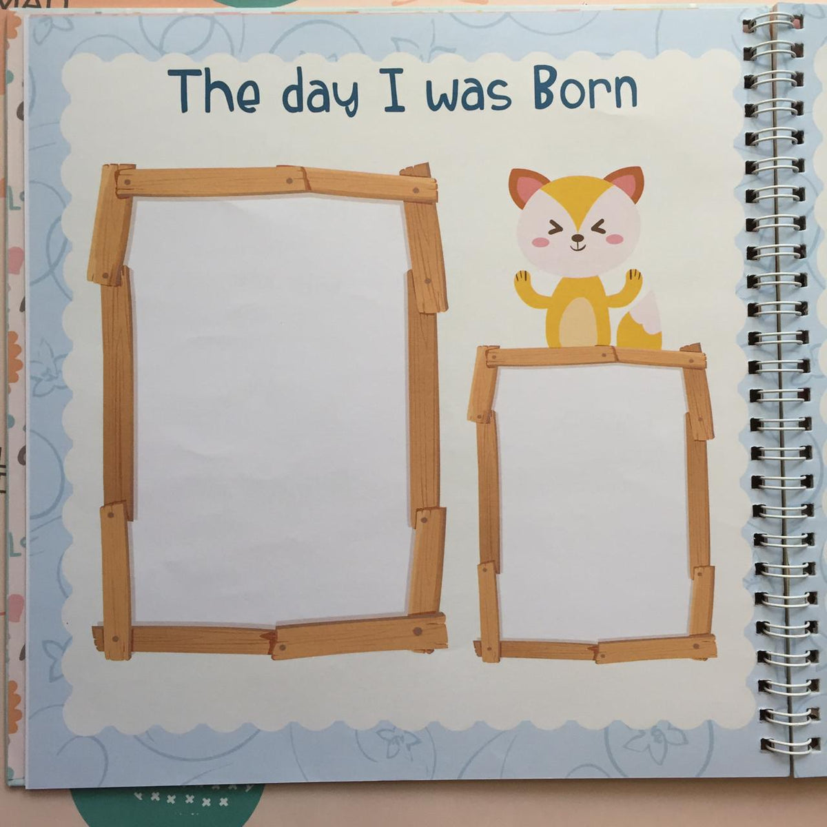 Baby Book (Pink)