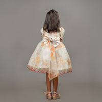 Circus Animal Dress