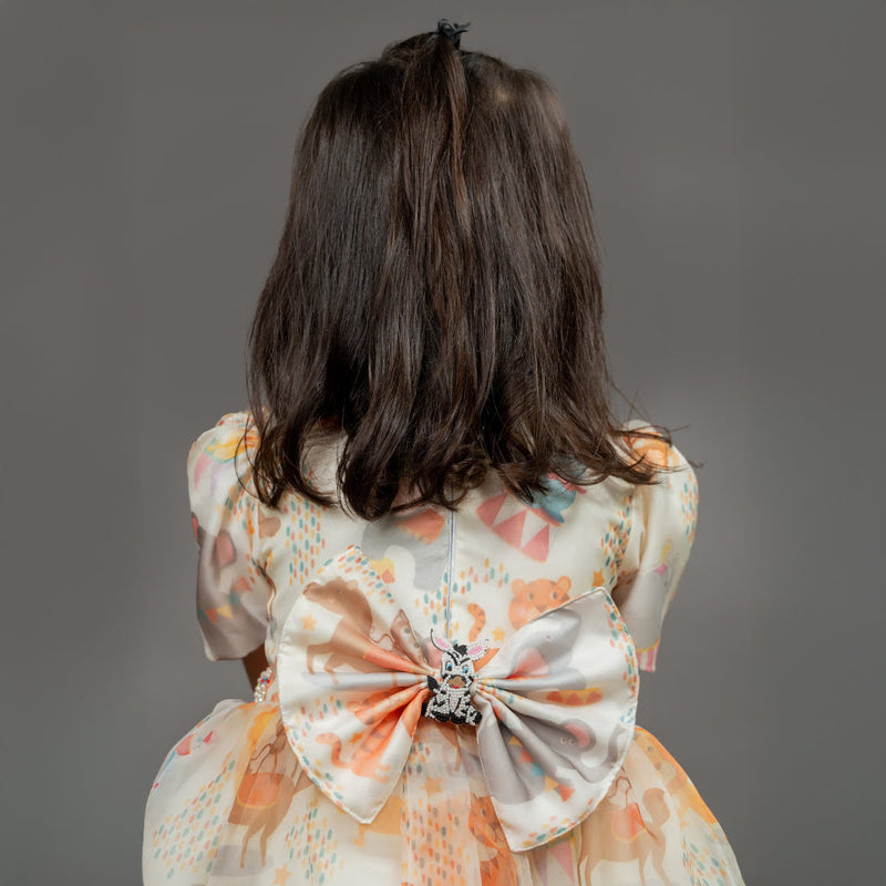 Circus Animal Dress