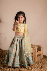 Yellow Green Brocade Ghaghra Choli