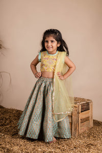 Yellow Green Brocade Ghaghra Choli