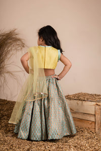 Yellow Green Brocade Ghaghra Choli