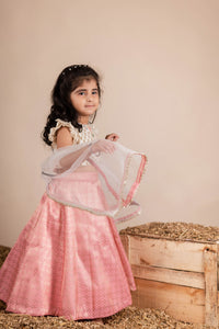 Pink Brocade Ghaghra Choli
