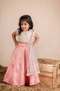 Pink Brocade Ghaghra Choli