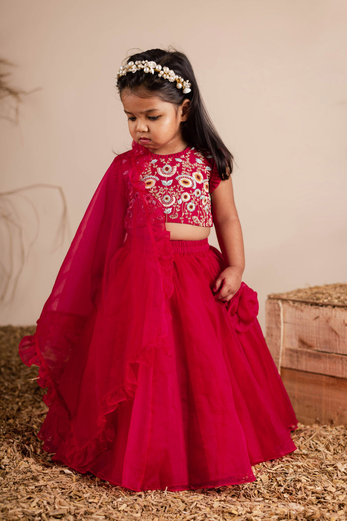 Maroon Embroidered Ghaghra Choli
