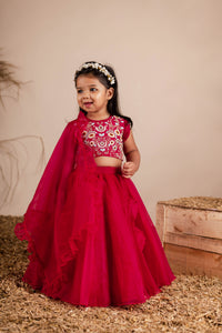 Maroon Embroidered Ghaghra Choli