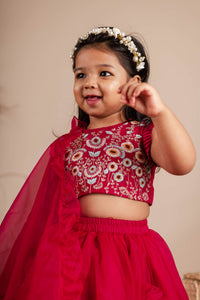 Maroon Embroidered Ghaghra Choli