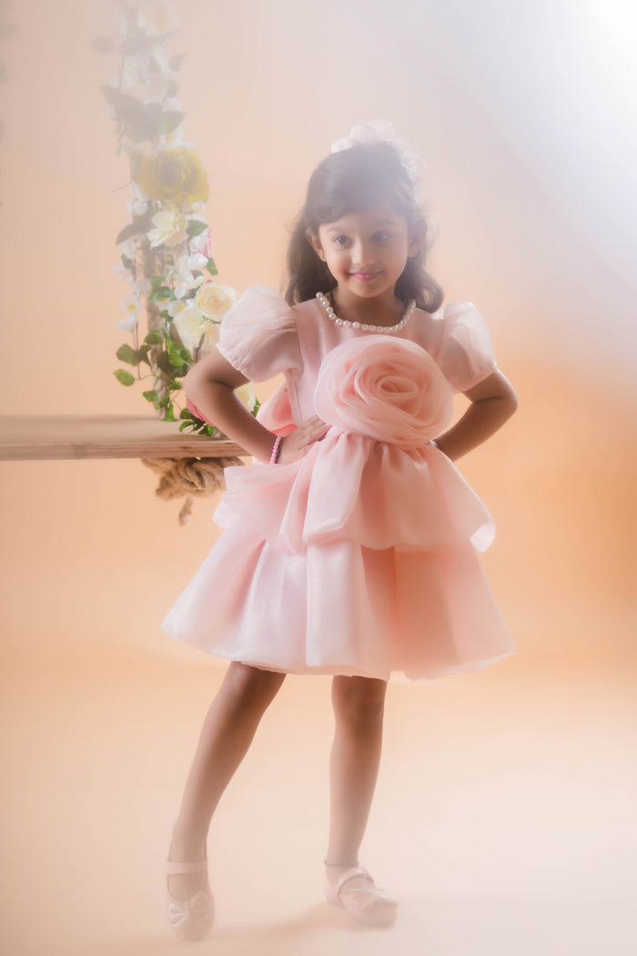 Statement Rose Party Dress