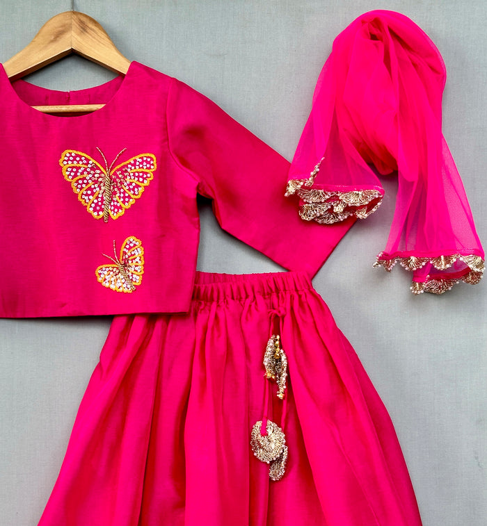 Butterfly embroidered lehenga set