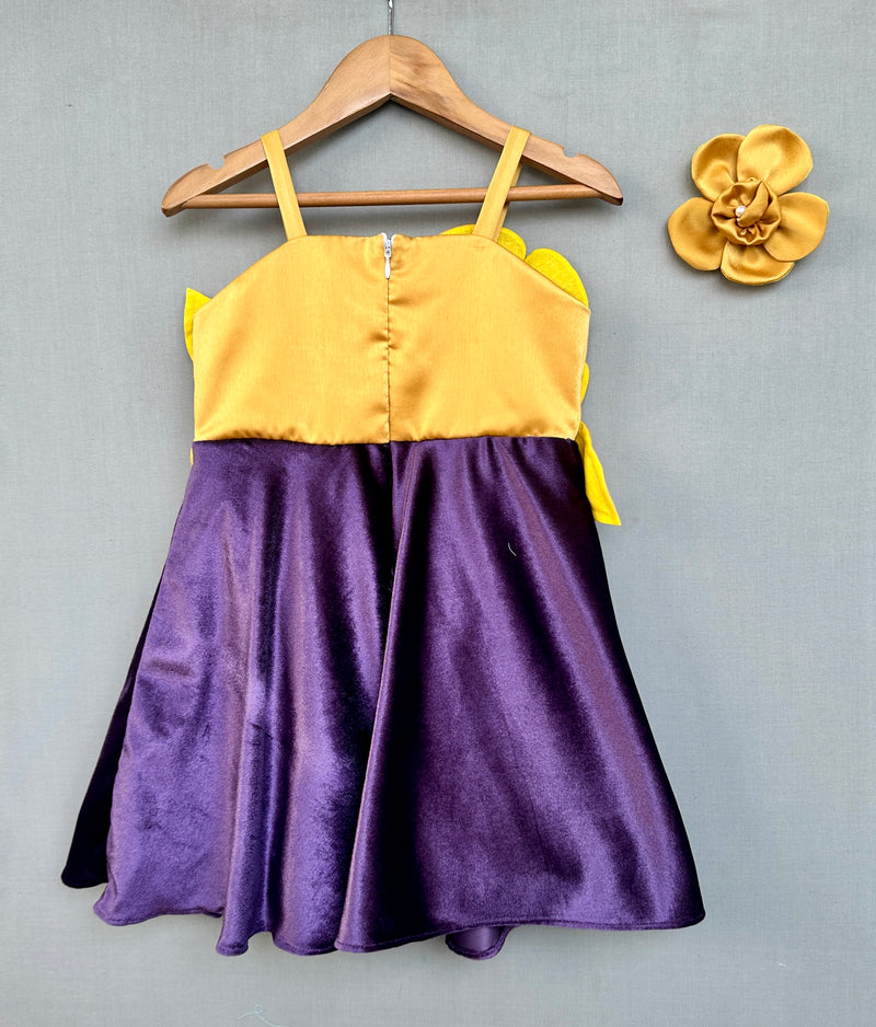 Stunning Velvent Dress in Purple