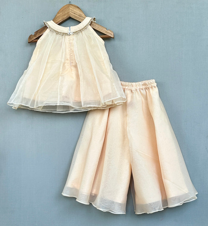 Champagne Gold Organza Co-ord Set with Floral embellishments