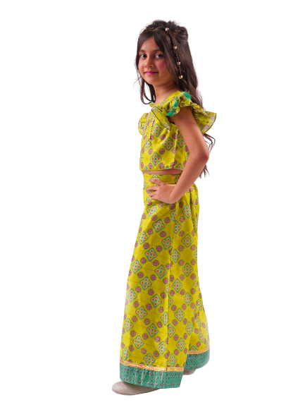 Rangoli Crop Top With Palazzo Co Ordinate Set