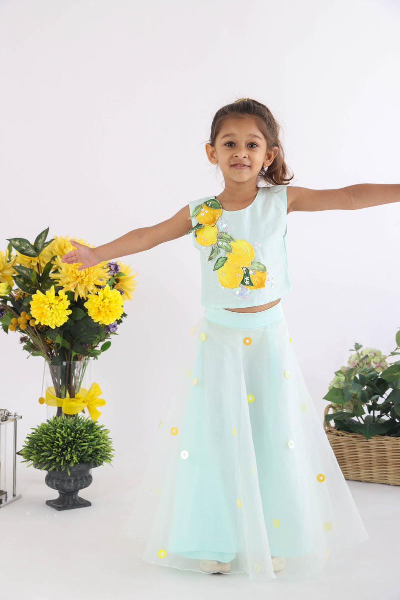 Blue Silk Top With Cutwork Lemons And Sequence Embroidered With Embellished Organza Lehenga
