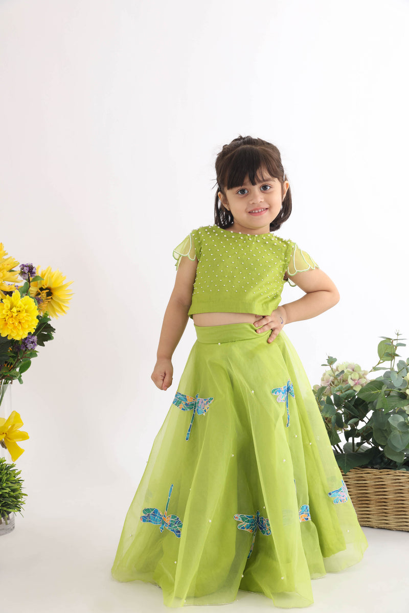 Silk Green Top With Pearl Embellishment And Organza Lehenga With Embroidered Dragonflies And Pearls
