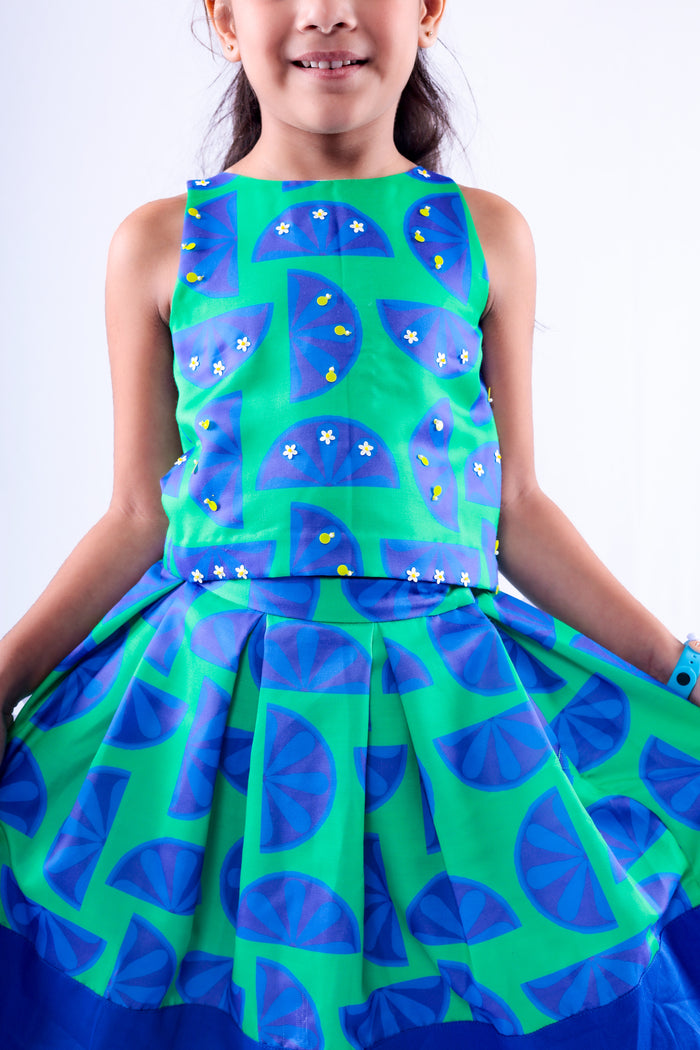 Blue and Green Lemon Top and Skirt