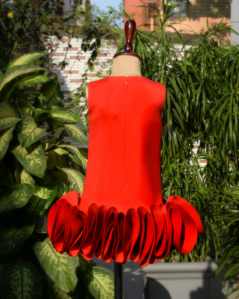 Cherry A_line Ruffle dress
