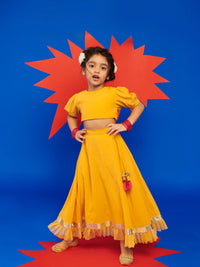 Kesari Top and Flare Skirt Set