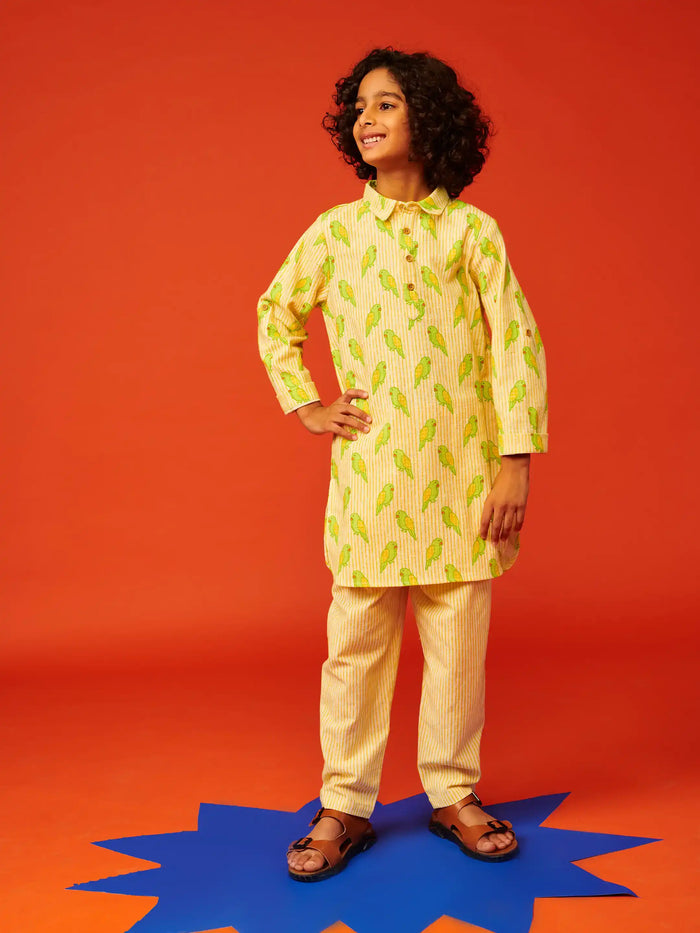 Mitthu Boys Kurta Set