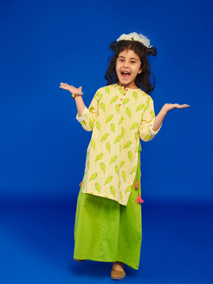 Mitthu Kurta Dress