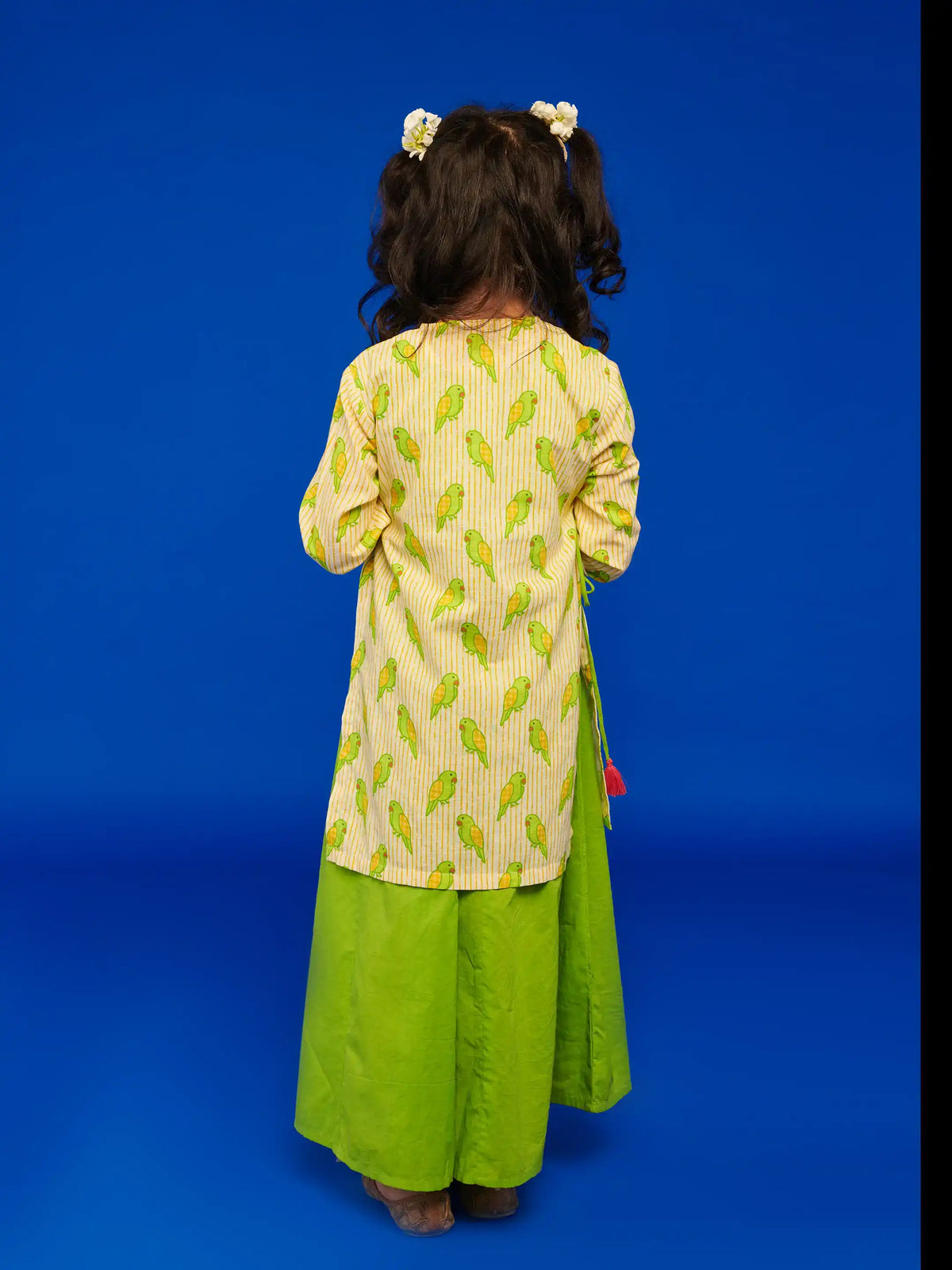 Mitthu Kurta Dress