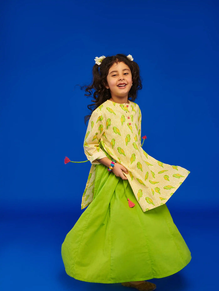 Mitthu Kurta Dress