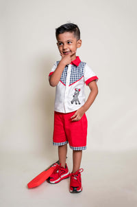 Zebra Shirt And Pant Set