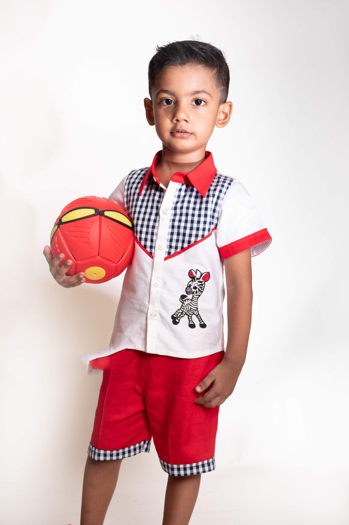 Zebra Shirt And Pant Set