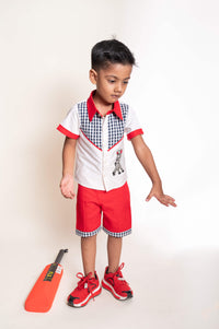 Zebra Shirt And Pant Set