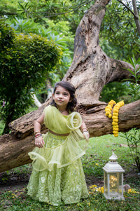 Flower Crop Top With Embroidered Lehenga