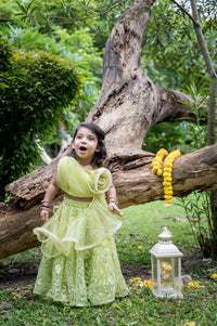 Flower Crop Top With Embroidered Lehenga