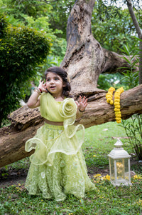 Flower Crop Top With Embroidered Lehenga