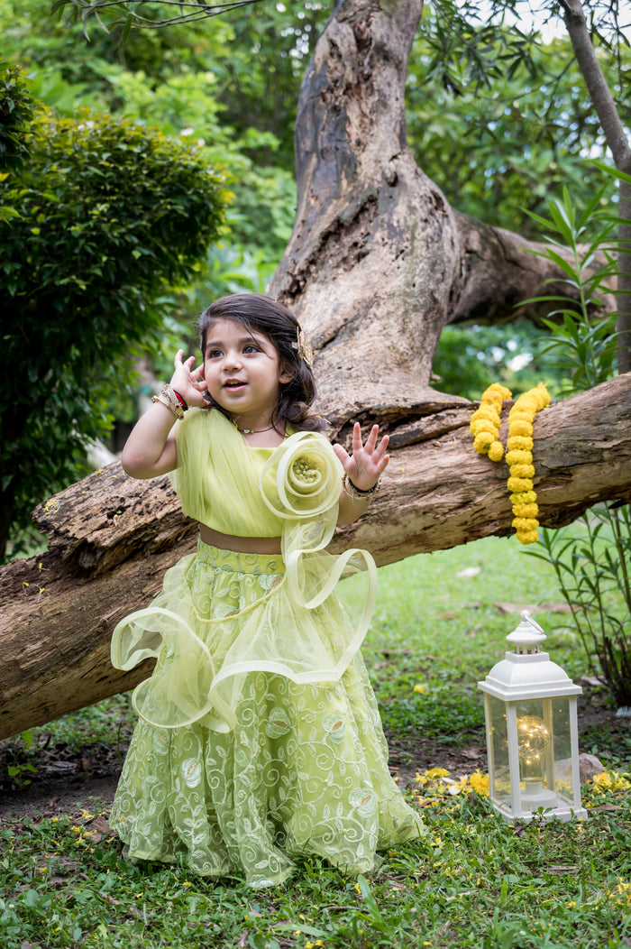 Flower Crop Top With Embroidered Lehenga