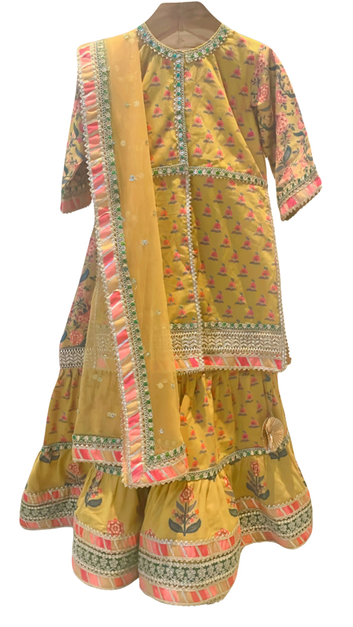 Block Printed Kurta and Sharara with Net Dupatta