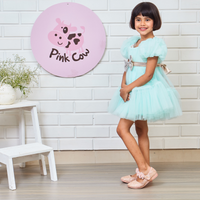 Pretty Aqua Blue Party Wear Dress