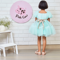 Pretty Aqua Blue Party Wear Dress