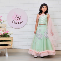 Pista Green Embroidered Ghaghra Choli