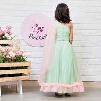 Pista Green Embroidered Ghaghra Choli