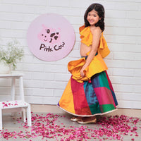 Multicolored Ghaghra Choli