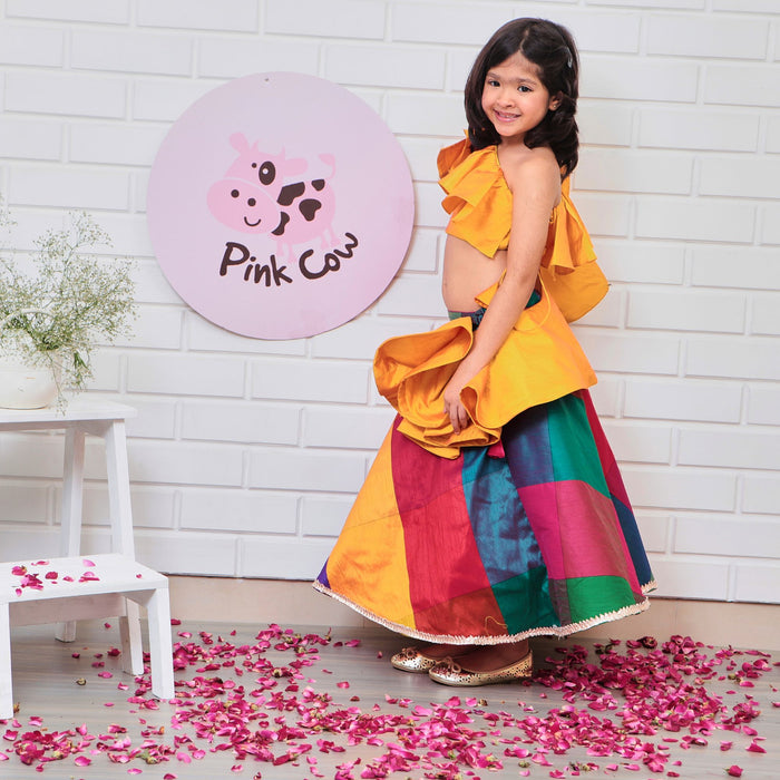 Multicolored Ghaghra Choli