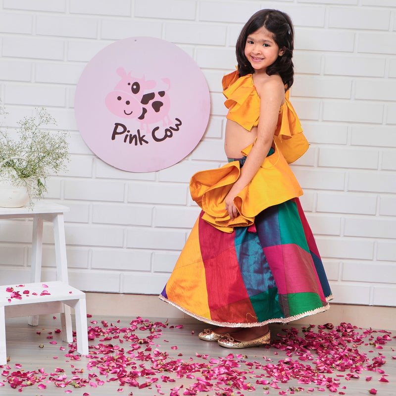 Multicolored Ghaghra Choli