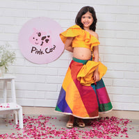 Multicolored Ghaghra Choli