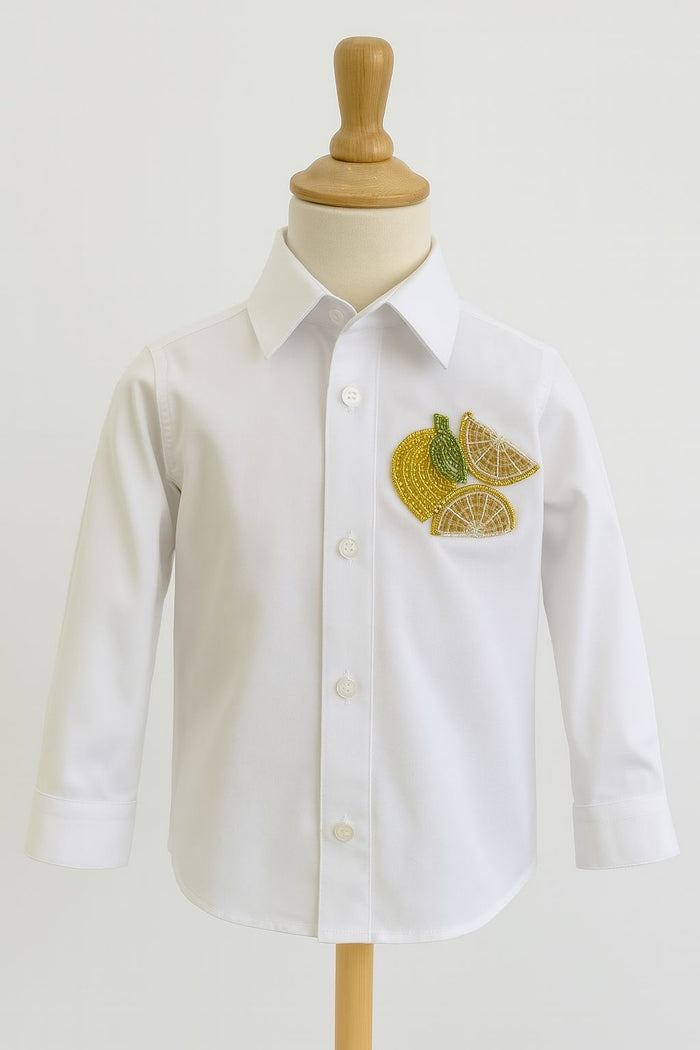Boys Graphic Embroidery  Shirt