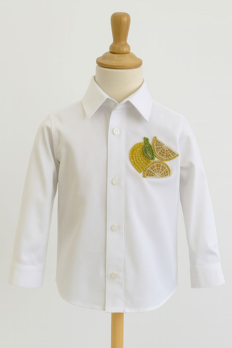 Boys Graphic Embroidery  Shirt